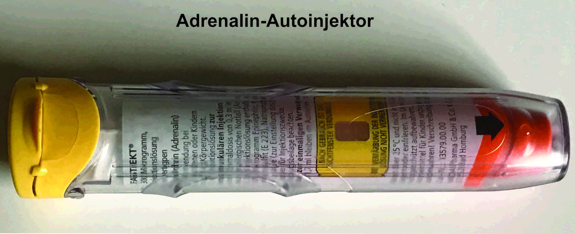 Aktuell – Begabungs­förderung